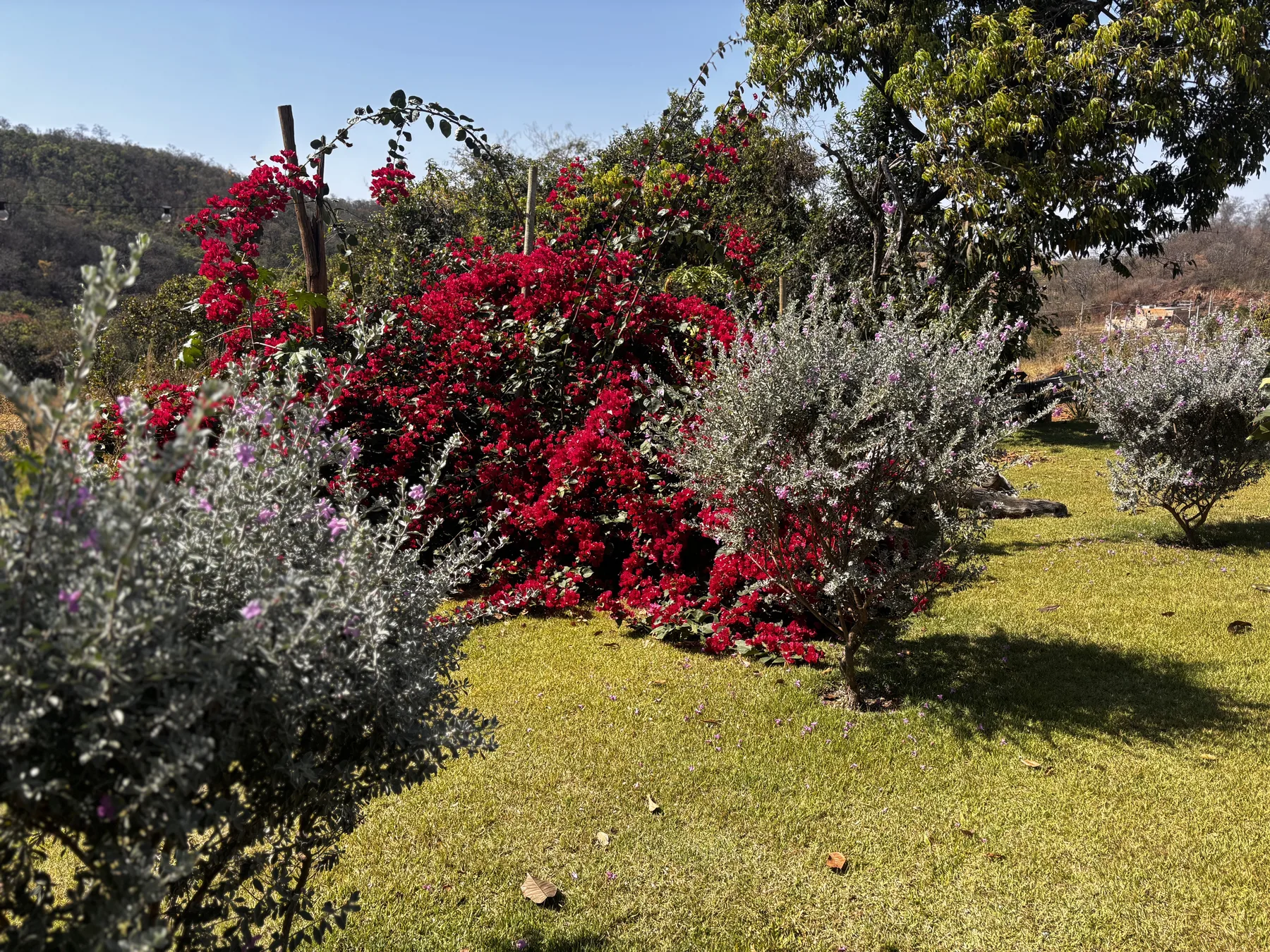 Recanto da Serra — foto 6